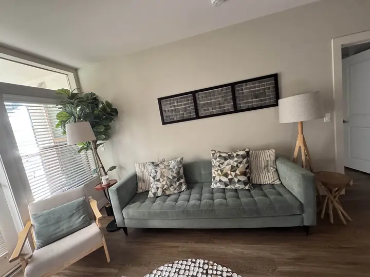 Westwood Airbnb, living room and fireplace